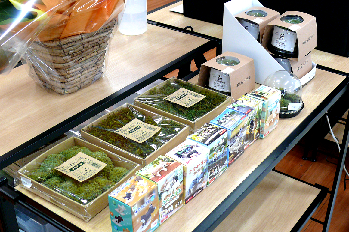 プレノ長田/セレクトショップ/olmo+